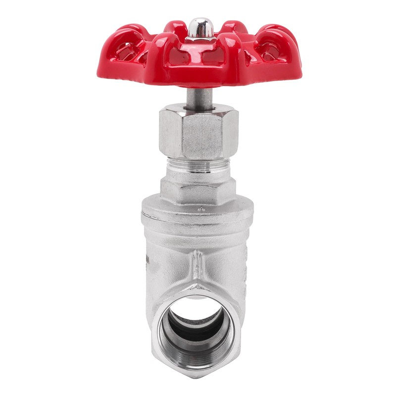 DERPIPE Heavy Duty Gate Valve - 3/4" NPT Stainless Steel