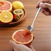 Grapefruit Spoons and Grapefruit Knife, Set of 7 Food Grade