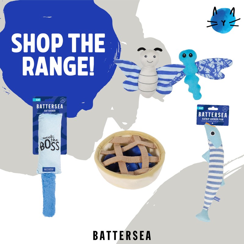 Rosewood Battersea Bugs Snail Teaser, Cat Teaser Wand, For Cats