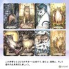 Soul Cats Tarot Soul Cats Tarot (Includes Tarot Divination Manual)