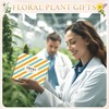 Zmart Gifts For Plant Lovers - Plant Socks For Women