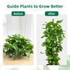 Mcbazel 63 Inch Moss Pole for Plants Monstera, Monstera Plant