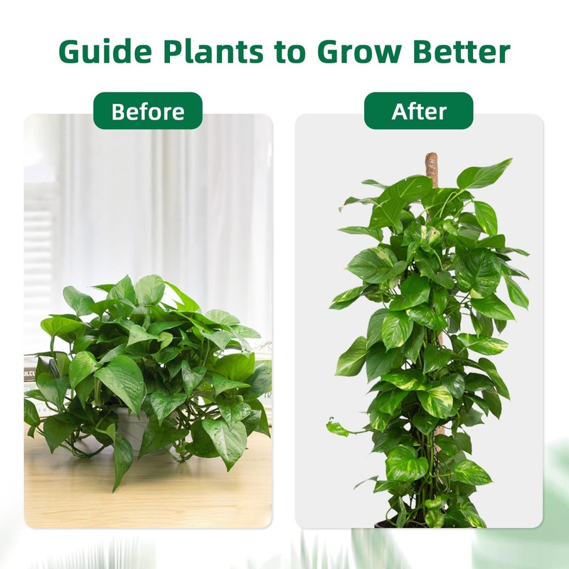 Mcbazel 63 Inch Moss Pole for Plants Monstera, Monstera Plant