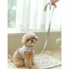Daenggeureureu [댕그르르] 강아지 하네스+리드줄 세트 - 핑크 3종 (택1) [Danggeureureu] Dog Harness + Leash Set - Pink 3 Types (Choose 1)