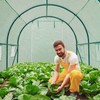 10×7×7 FT Greenhouses for Outdoors Heavy Duty, Large Walk in