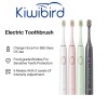 In-Stock Smart Sonic Toothbrush with 45° Oscillating Vibration USB-C Rechargeable