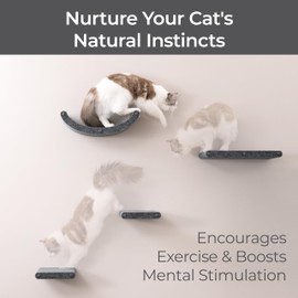 Cat Hammock Wall Mounted Cat Shelves - Set of 4 - Stylish Cat Wall Furniture to Enrich Your Feline and Home. Modular and Modern Designed Cat Furniture for Indoor Cats (Charcoal)