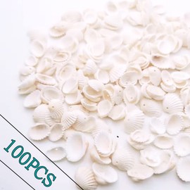 100PCS Shell Beads Cowrie Shells Natural Spiral Sea Beach Cowrie Shell Beads for DIY Craft Jewelry Making