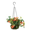 Jute Hanging Basket Liner - Green (12-Inch x 4) Sold