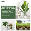 Monstera Plant Support, Durable Iron Plant Stem Supports, Plant Stabilizer