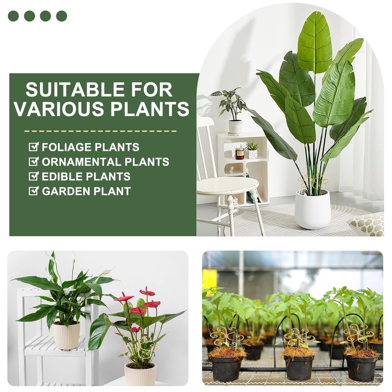Monstera Plant Support, Durable Iron Plant Stem Supports, Plant Stabilizer