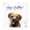 Curled Up Border Terrier Birthday Card - Party Hat