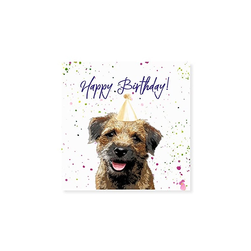 Curled Up Border Terrier Birthday Card - Party Hat