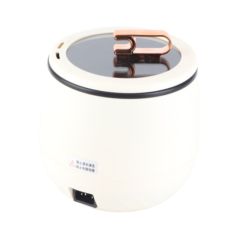 Mini Cooker Electric Pot with Lid Anti Stick Multifunctional Smart