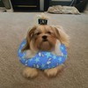 vomvomp Soft Dog Grooming Pillow Top Knot Pillow for Dog