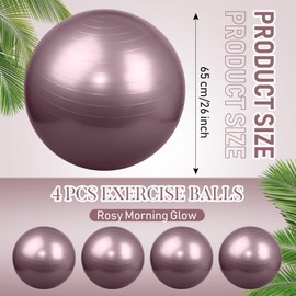 Leyndo 4 Pcs 26 Inch Yoga Exercise Ball Pilates Pregnancy Birthing Fitness Ball with Quick Pump Anti Burst for Improved Posture, Balance, Yoga, Pilates, Training(Rose Color)