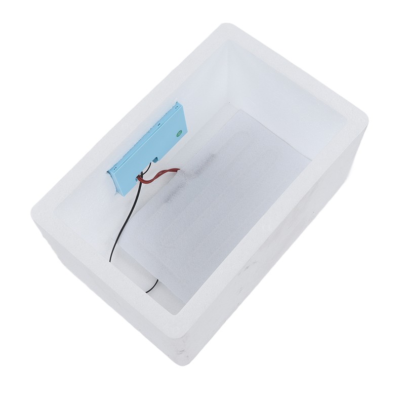 Egg Incubator Small Multifunctional Household Chicken Incubator for Hatching Chick