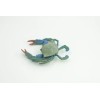 Collectible Wildlife Gifts Blue Crab, Hand Painted Realistic Rubber Crab,
