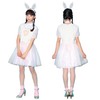 Party City COSCHU! Love Rabbit