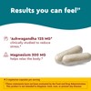 Nature Made Wellblends Calm & Relax, Ashwagandha 125mg, Magnesium 300