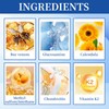 Godneei 2er-Pack Bienengiftsalbe, Bee Cream Bienengiftsalbe, Natürliche Bienengift Creme, 60