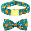 Bobo Rainbow Dog Collar Autumn Pet Collar Pumpkin Print Fall