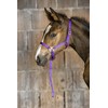 Ekkia Foal Halter with Adjustable Nose and Neck Strap Purple