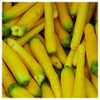 Everwilde Farms - 1 Oz Organic Solar Yellow Carrot Seeds