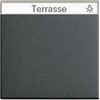 GIRA 029928 Wippe with Inscription Field System 55 anthracite