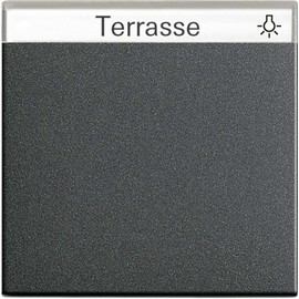 GIRA 029928 Wippe with Inscription Field System 55 anthracite