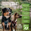 Only Natural Pet Only Natural Pet Probiotic Dog and Cat