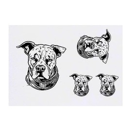 4 x 'pitbull' Temporary Tattoos - Water Resistant, Skin-Safe, Non-Toxic Transfers, Mixed Sizes (TO00060988)