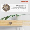 Brass Capiz Metal Knob – Premium Decorative Knobs for Cabinets