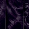 Clairol Natural Instincts Bold Violet Permanent Hair Colour, Ammonia Free,