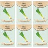 Set of 6 Vegetable Seed Packs - Create a Deluxe