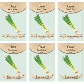 Set of 6 Vegetable Seed Packs - Create a Deluxe Garden - All Seeds are Heirloom - 100% Non-GMO (Onion Green Scallion)