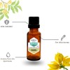 Aceite Esencial de Cananga Natural Puro Aromaterapia