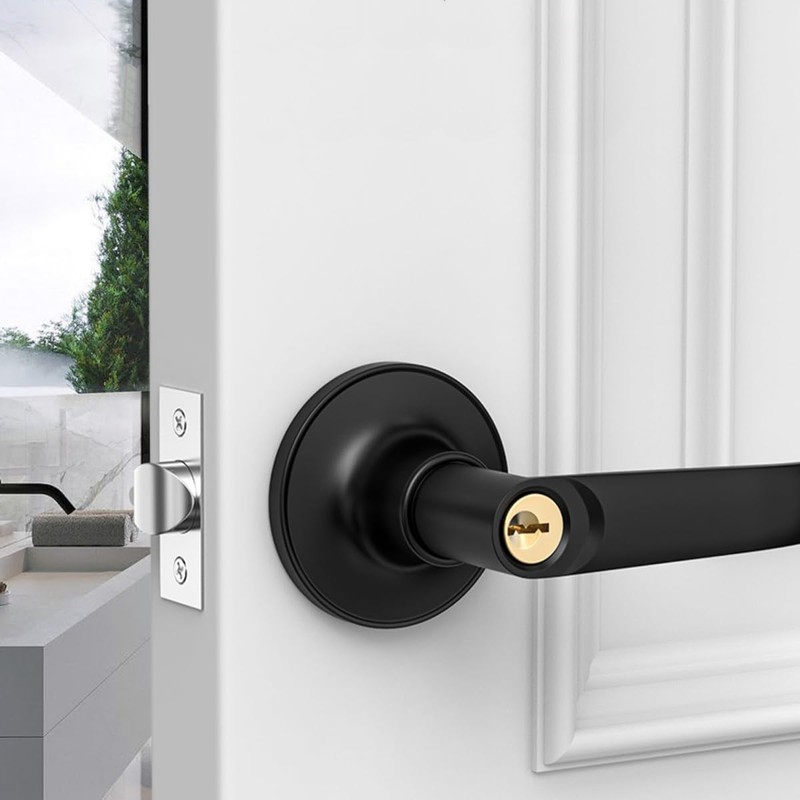 Qrity Lever Door Handle Lock with Keys, Door Lock for