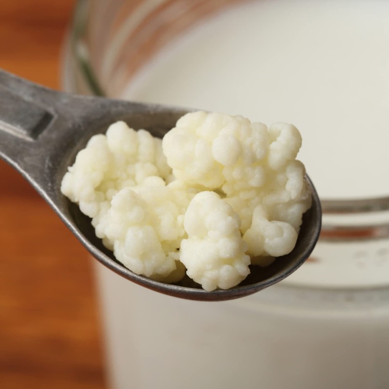 Freshly Fermented - Certified Dehydrated Organic Milk Kefir Grains