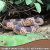 Rubber Snakes Fake Snake Rattlesnake - Realistic Keep Birds Away