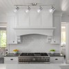 Laite Lumens 4-Light Track Lighting Kit, Brushed Nickel Flush Mount