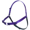 Softouch Sense-ation No-Pull Dog Harness (Purple, Extra Large)