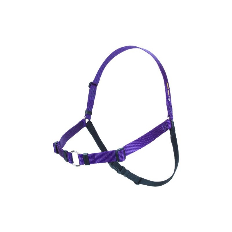 Softouch Sense-ation No-Pull Dog Harness (Purple, Extra Large)