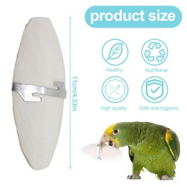 PHCOZY Pack of 3 Sepia Bowls Parrots Chew Toy Birds Chewing Toy with 3 Pieces Metal Holder Octopus Sepia Bones for Parrots Birds Reptiles Turtles Snails, 12 cm