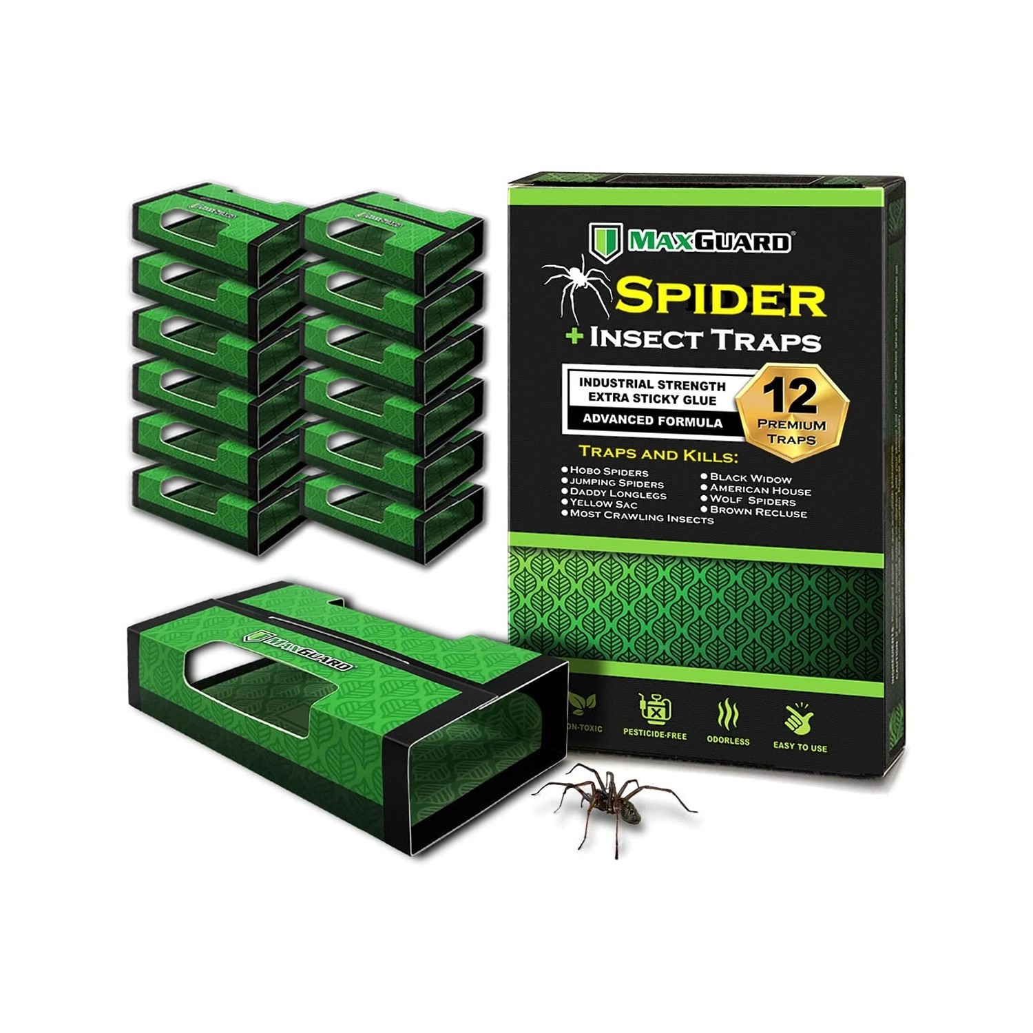 MaxGuard Spider + Insect Traps (12 pcs Box Trap) | Non-Toxic Extra ...
