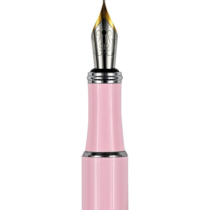 Tree of Hearts Fountain Pen with Fine Nib (includes black