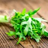 Arugula Salad Rocket Rucola 1000+ Seeds for Planting