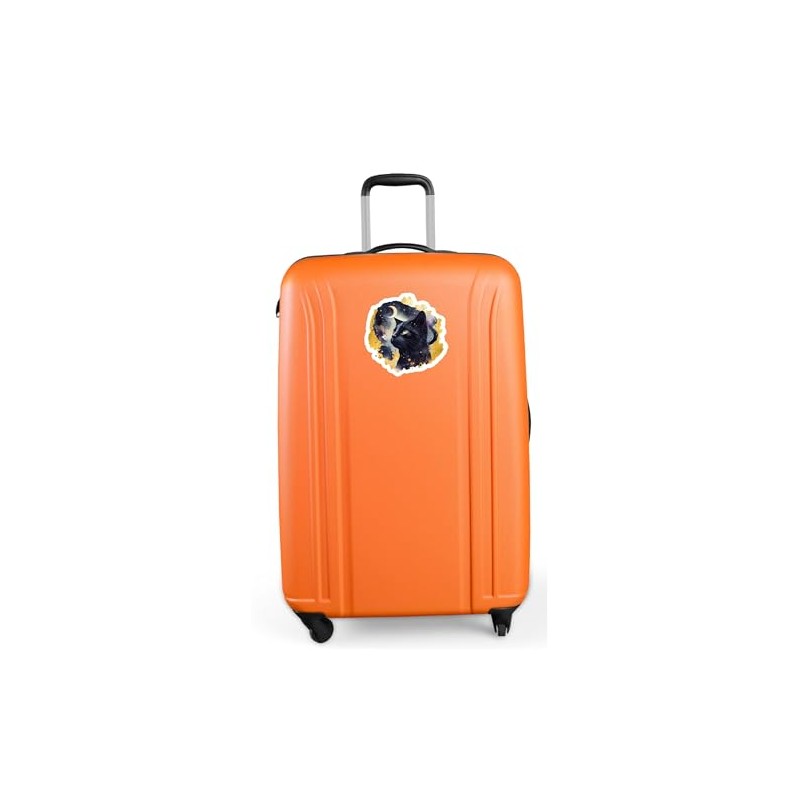 Black Cat Midnight Cosmic Gold Pattern Sticker Cute Unique Design