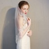 Lismyakey Bridal Wedding Veil with Hair Comb 2-Tier Appliqued Short