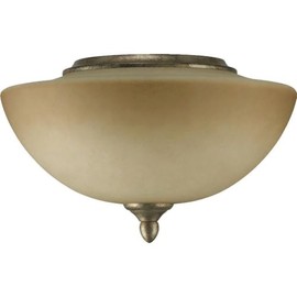 Quorum 2386-9158 Transitional Two Light Fan Light Kit from Salon Collection in Bronze/Dark Finish,